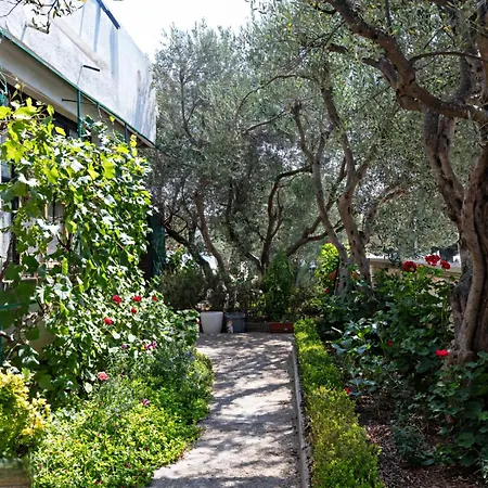 Mira Appartement Pirovac